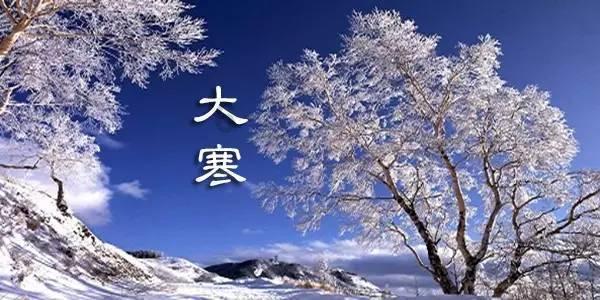 大花园植物逃生