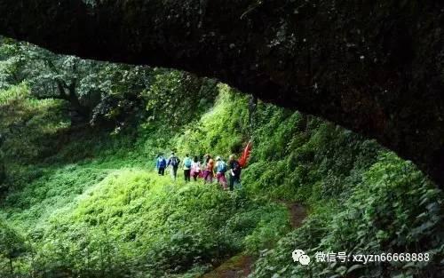 美人鱼生日会